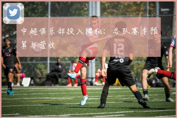 中超俱乐部投入揭秘：各队赛季预算与营收